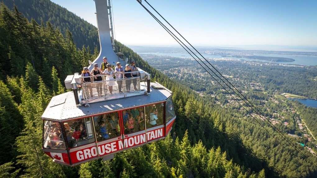 Grouse Mountain offers skiing, ziplining, wildlife reserves, lookouts, and more.