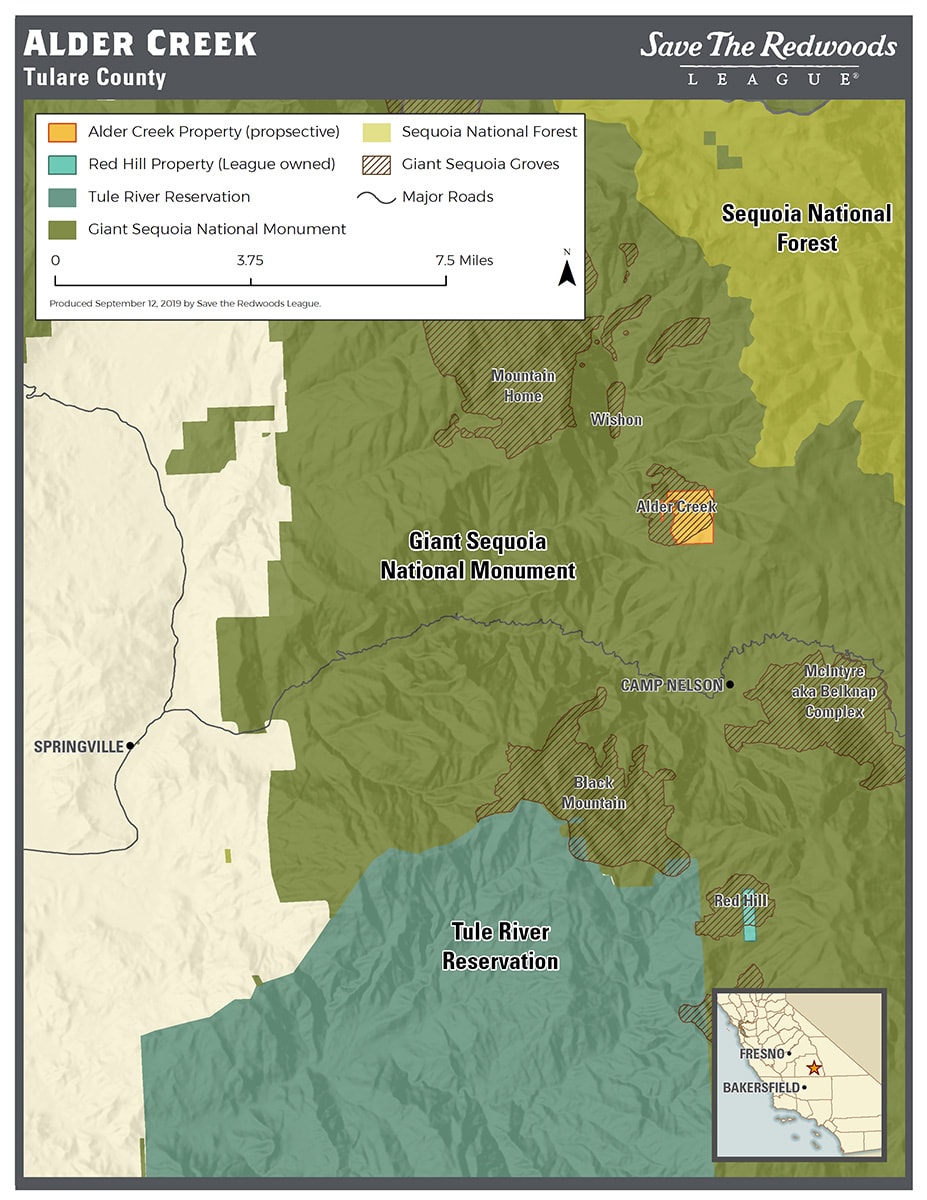 Giant Sequoia Location