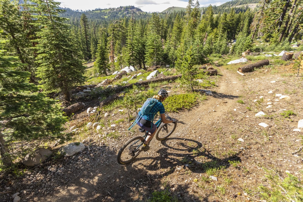 Bear Valley Resort CA Had to Cancel its Mountain Bike Season This Year Because There s Still Too Much Snow SnowBrains