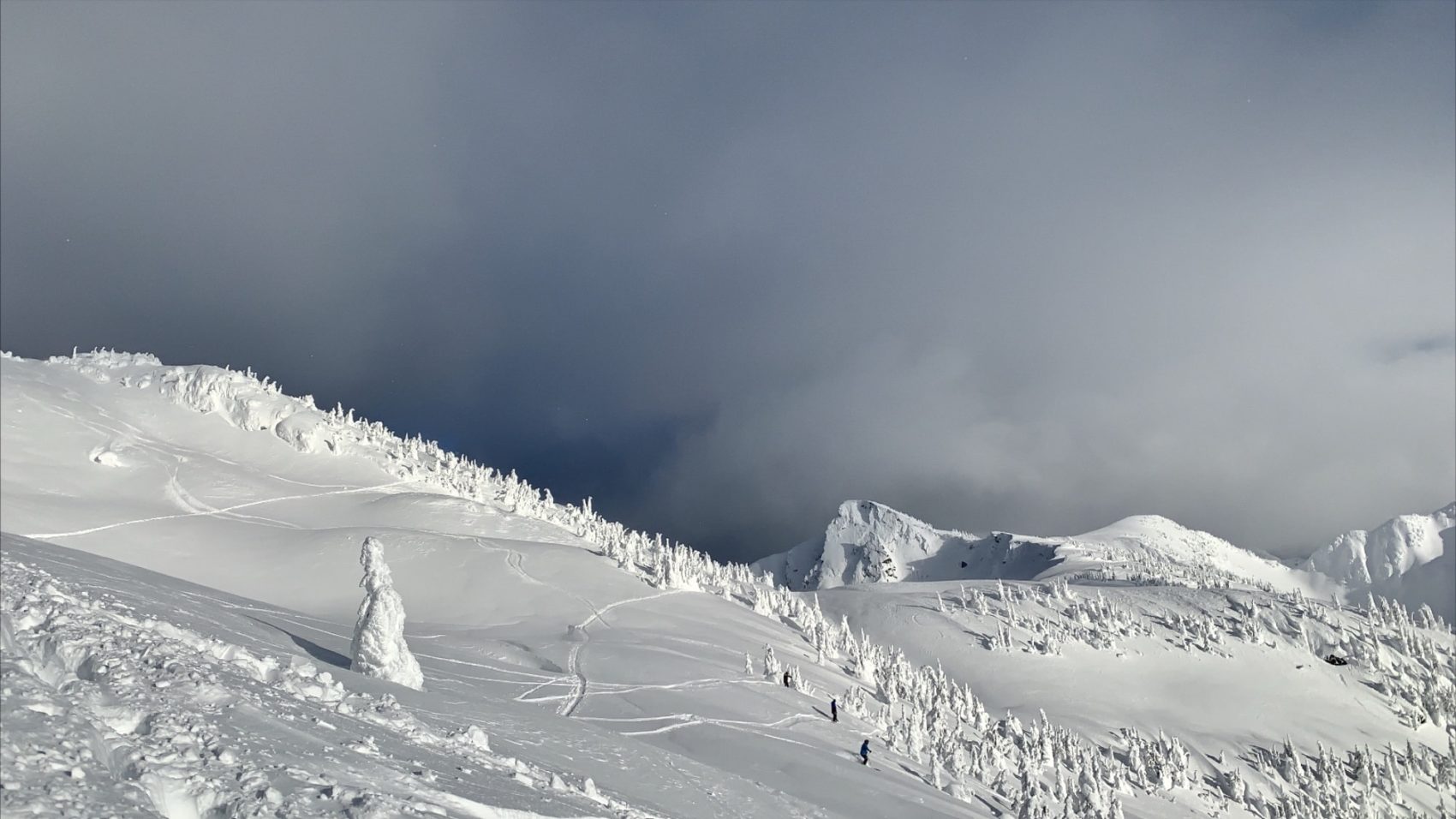 Sunny South Facing slopes in revelstoke