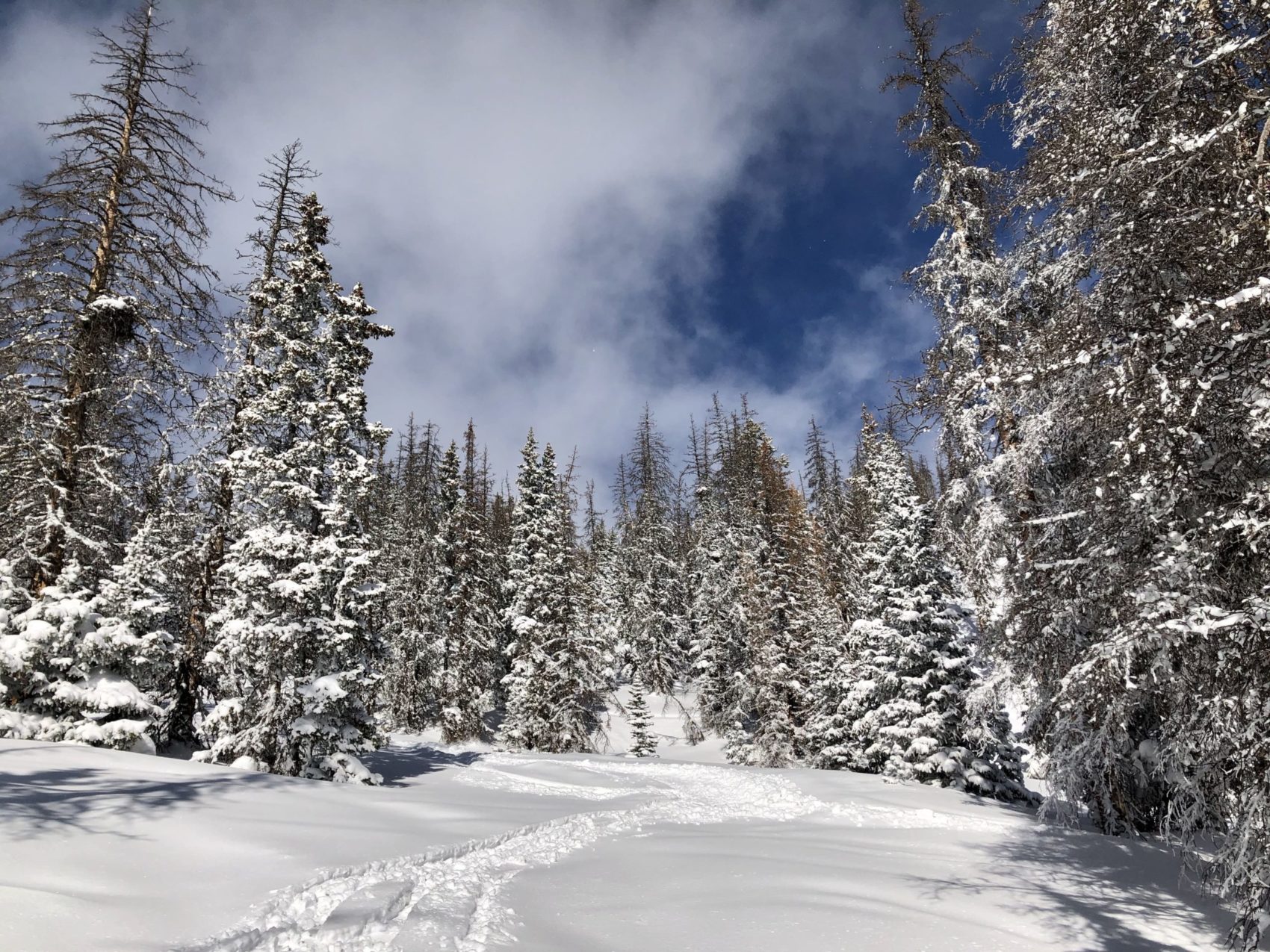 monarch, colorado