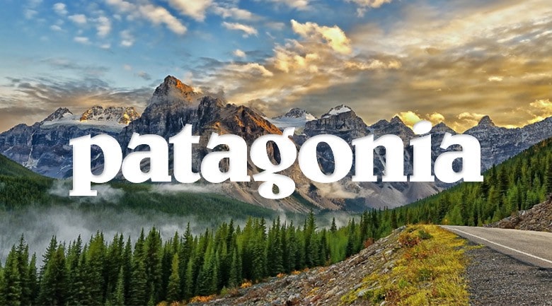 telegram camouflage Depression Patagonia: "We're In Business To Save Our Home Planet" - SnowBrains