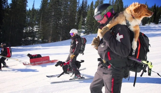Ski gear for dogs is soon hitting the markets.