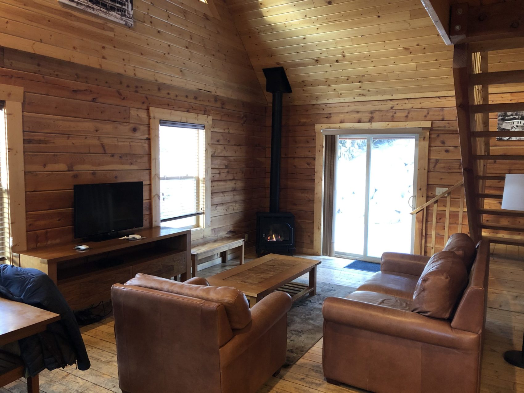 Cozy lounge log cabin Colorado
