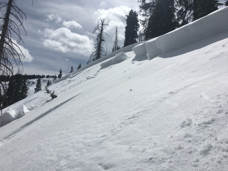 avalanche, colorado