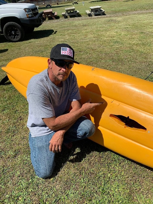 kayak, shark attack, great white, california