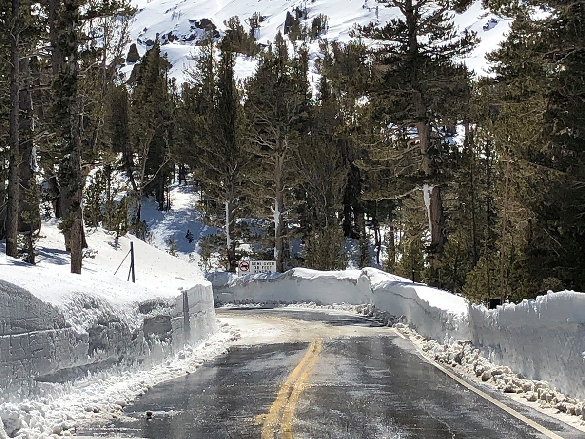 Tioga Pass Ca Now Open To Yosemite Park Entrance Sonora And Ebbetts