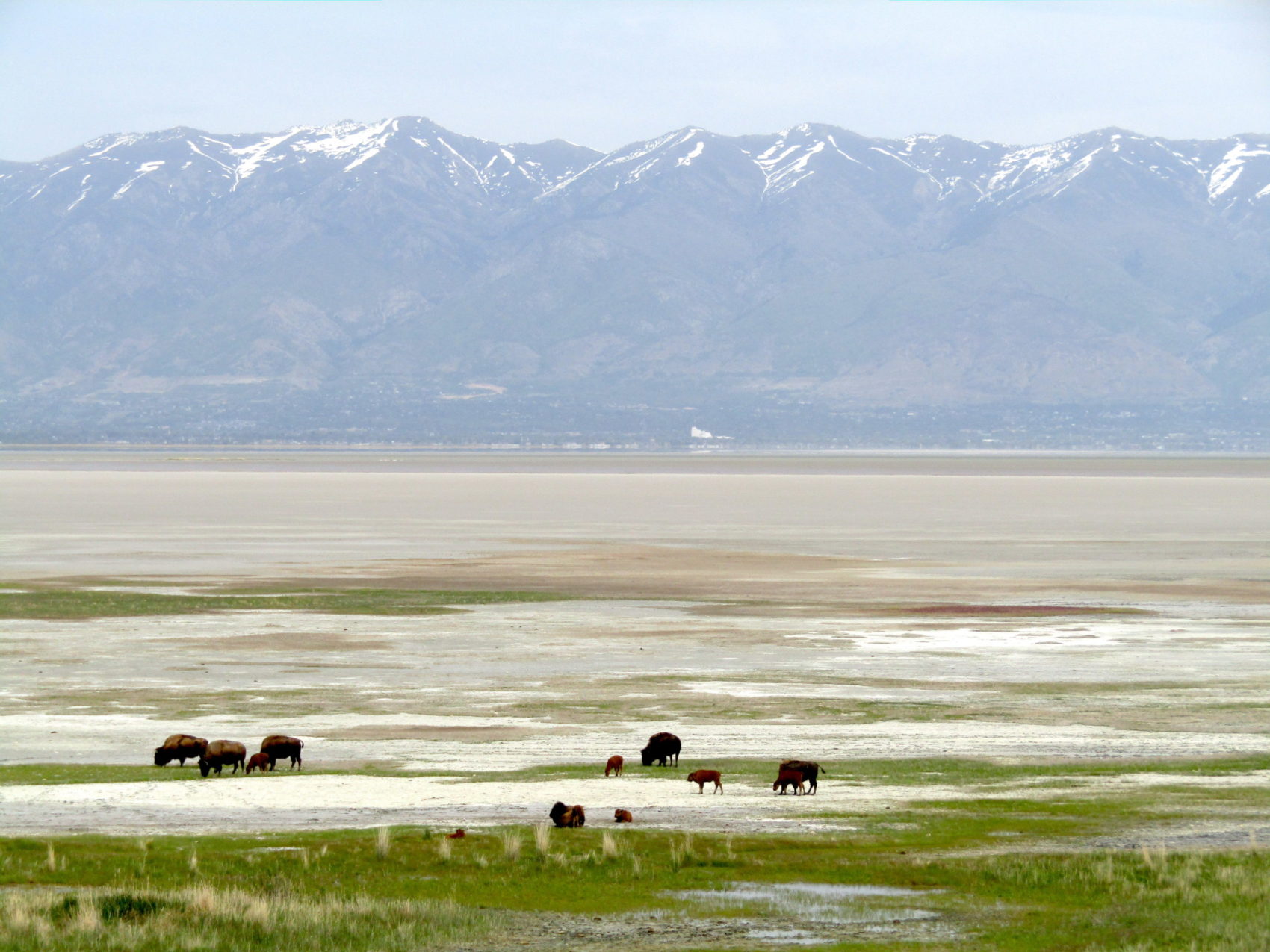 great salt lake, Utah