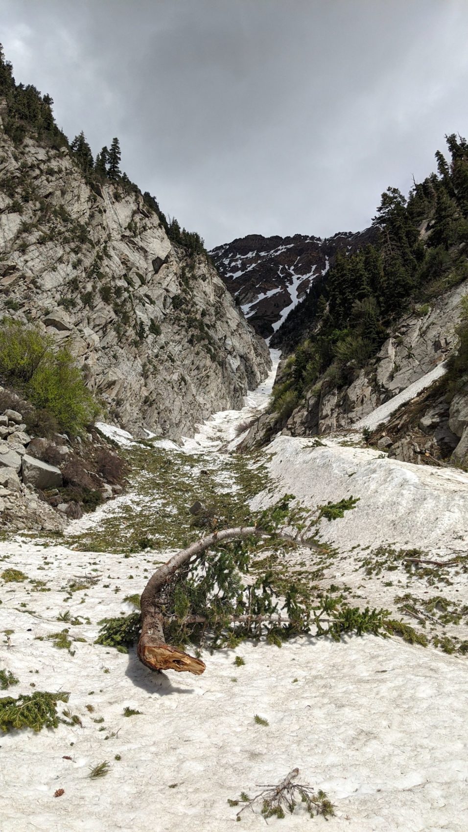 Reynolds Gulch Mine – Big Cottonwood Canyon, Utah – The Trek Planner