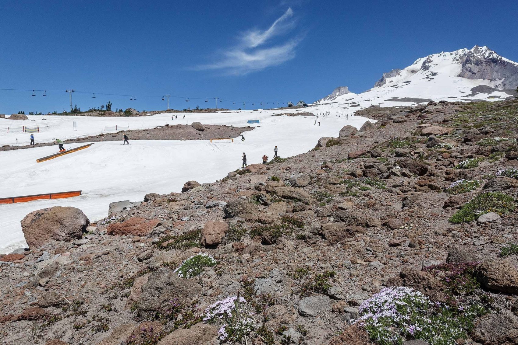 Summer skiing at Timberline