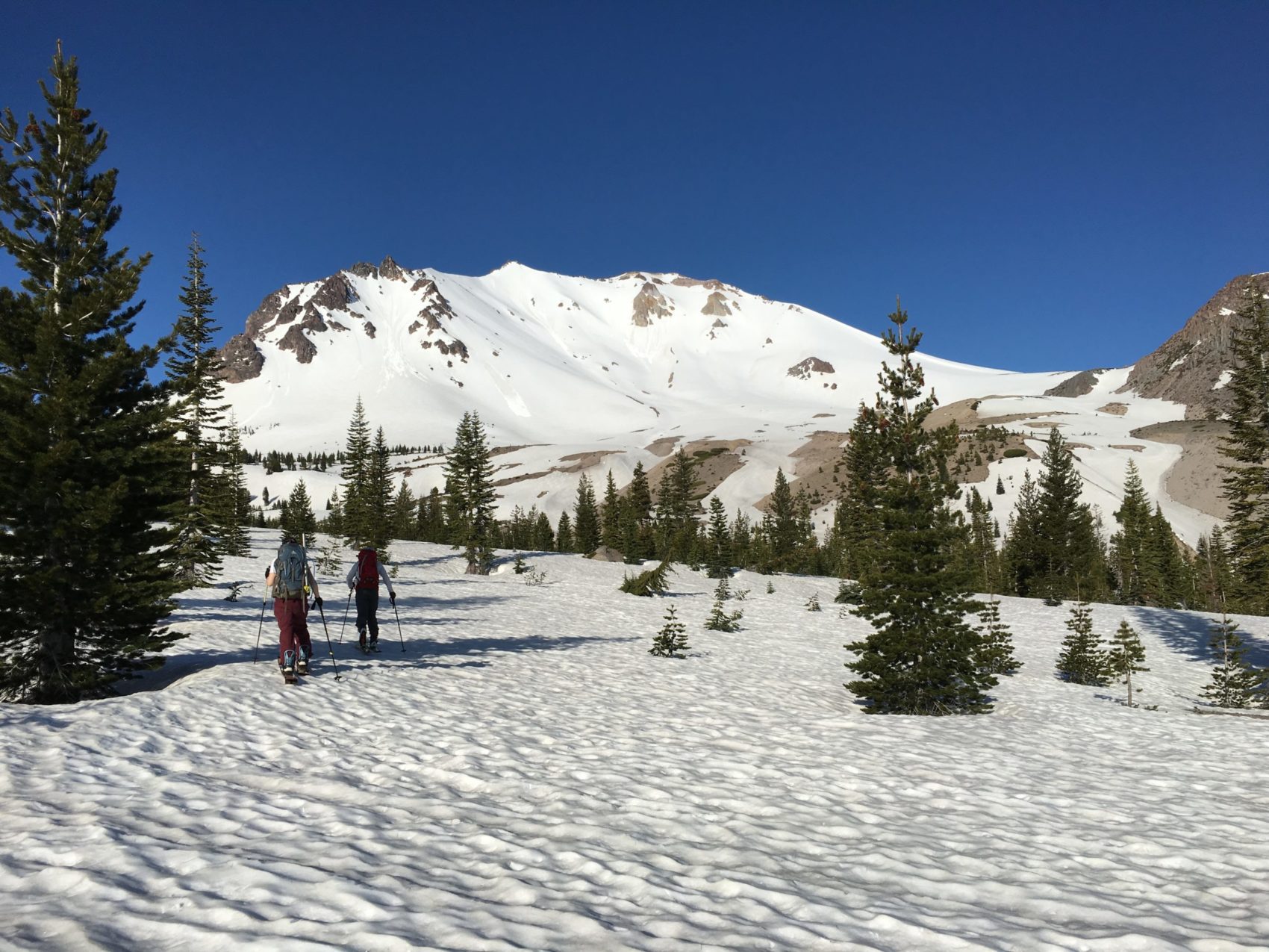 Devastated Area Trail in Lassen Volcanic National Park — Flying Dawn Marie