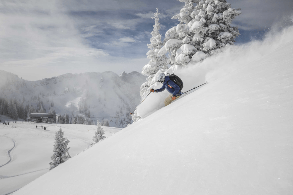 alta, ski utah