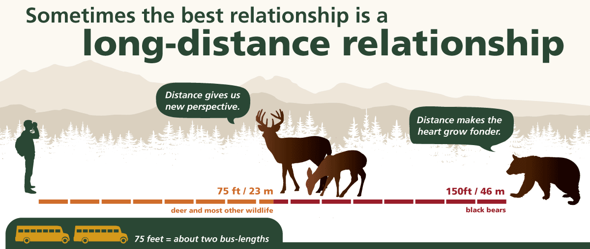 Safe Distance for Viewing Wildlife