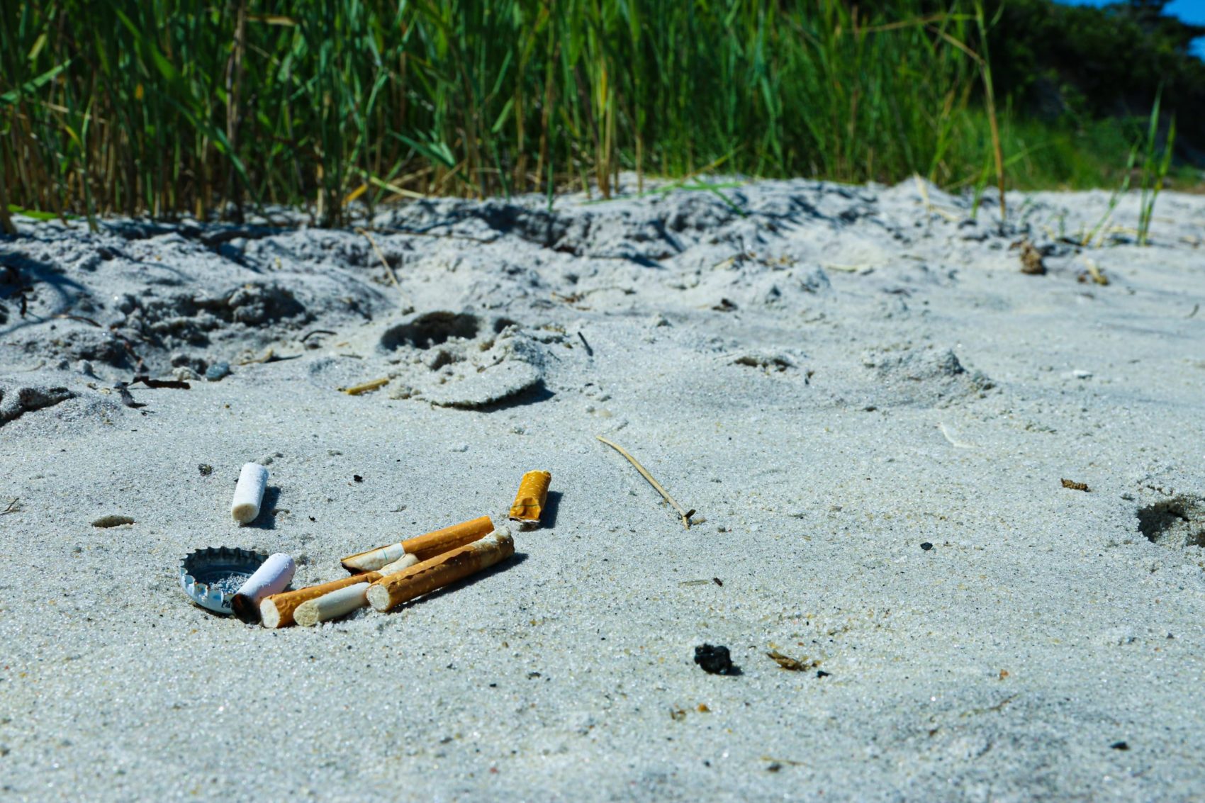 Pollution, Beach, Ocean Ecosystem, Cigarette Butts