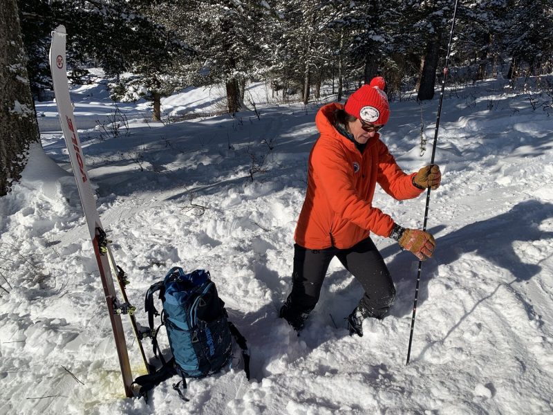 Avalanche Safety