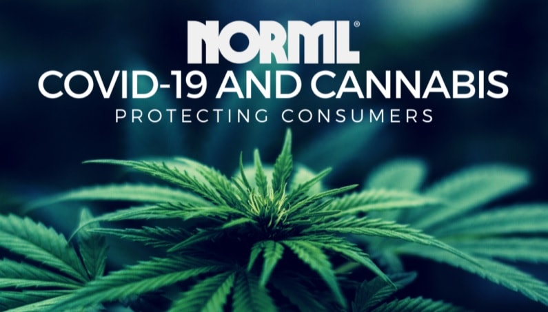 Covid-19, Cannabis, Norml