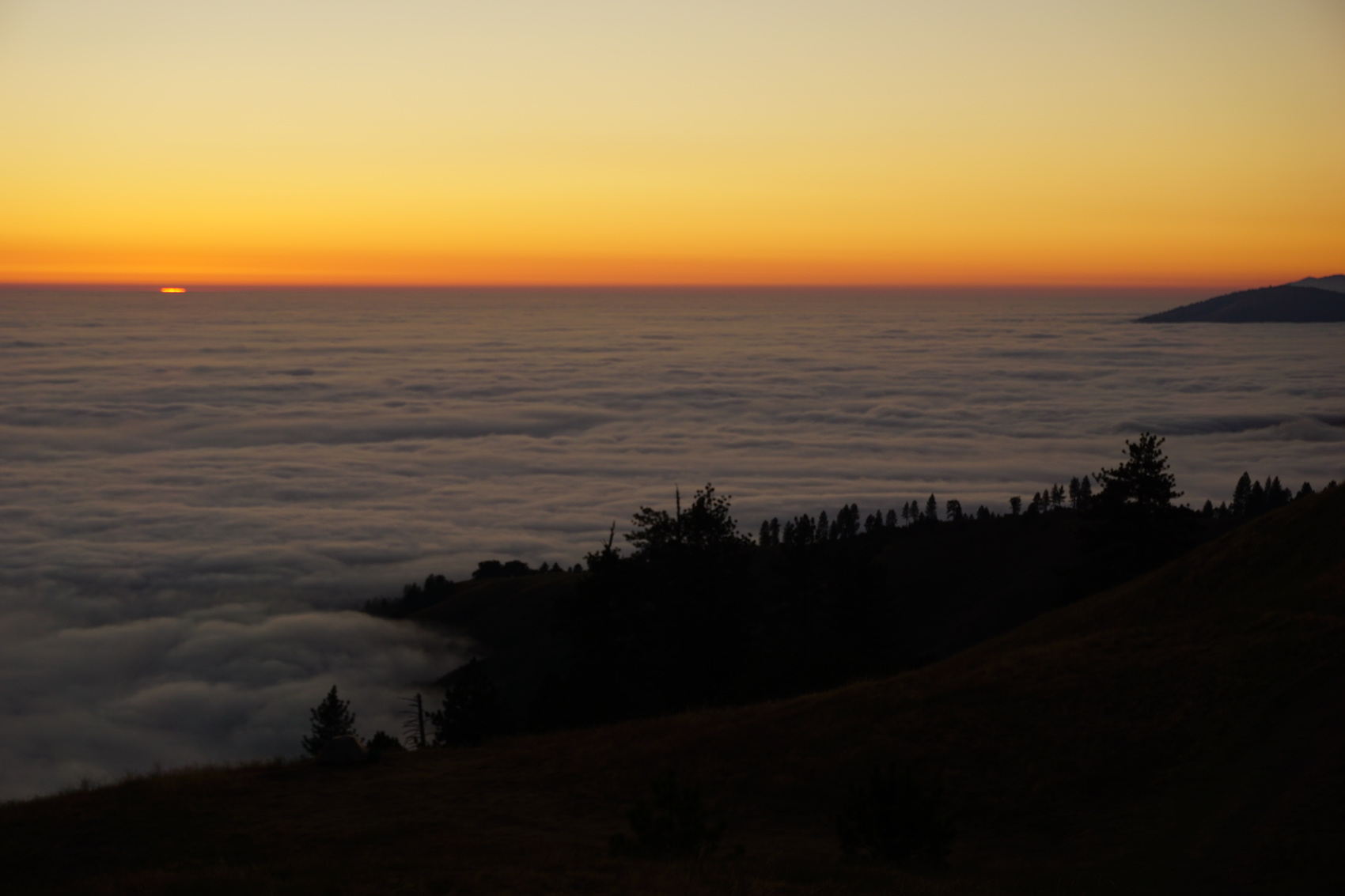 Big Sur