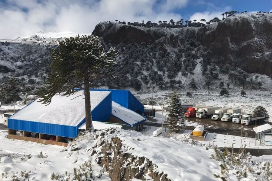 Pino Hachado Pass, Snow, 20 Feet, Border Crossing, Chile, Argentina
