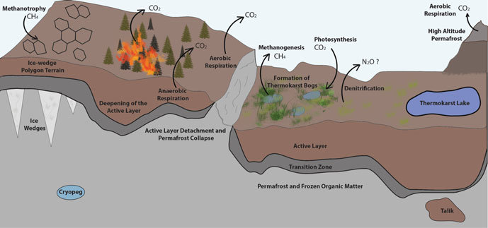 Permafrost Diagram