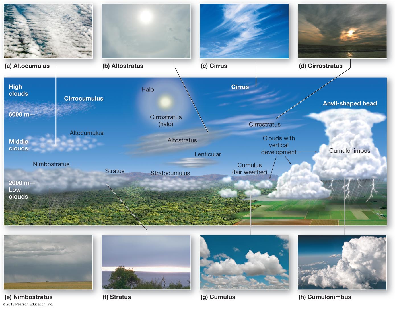 Cumulonimbus clouds produce thunderstorms