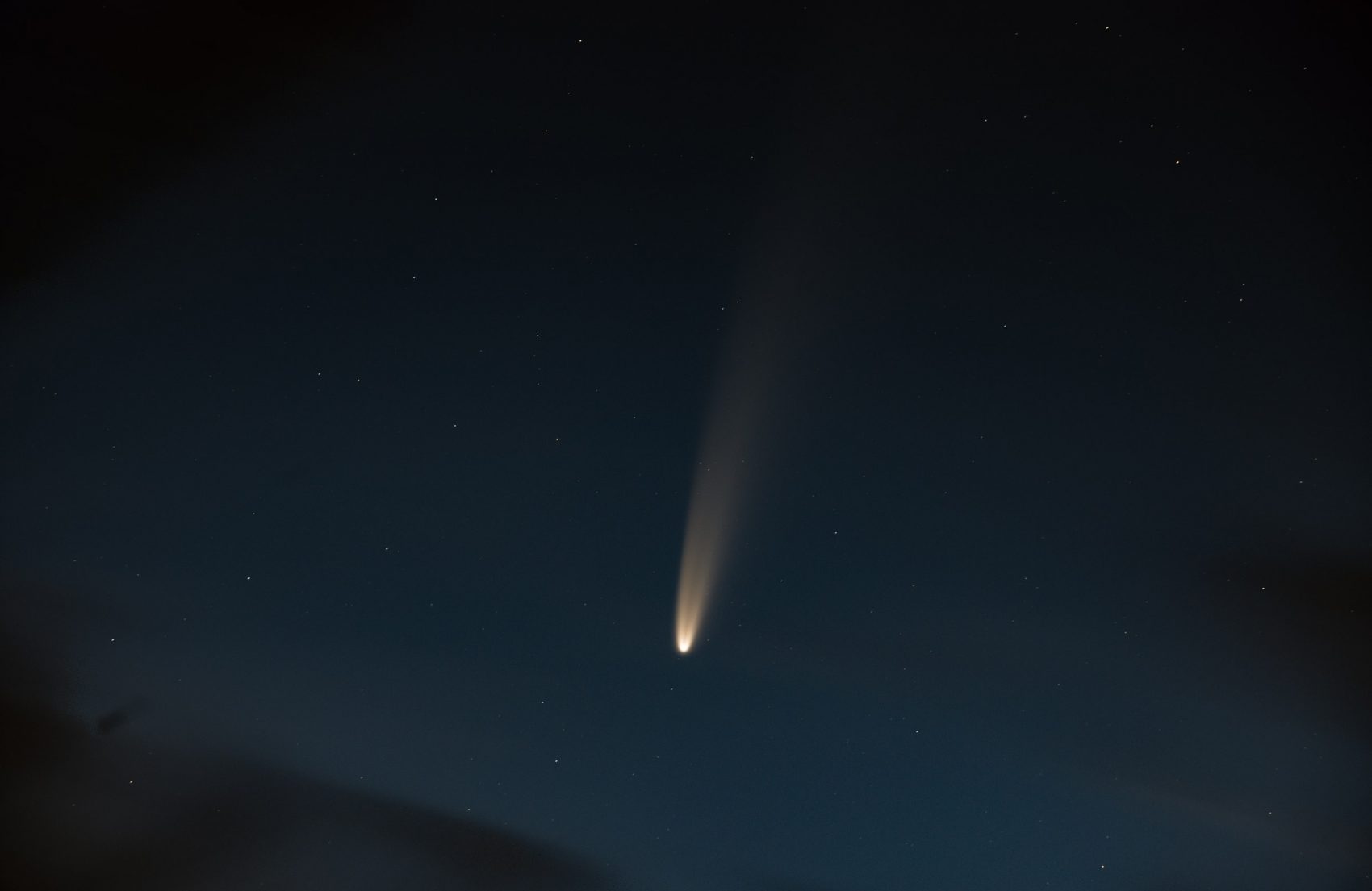 comet, neowise