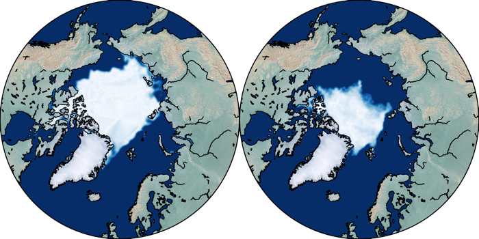 arctic sea ice