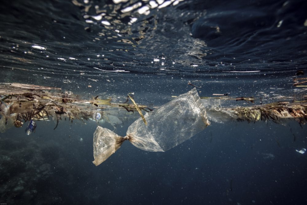 Atlantic, Pollution, Plastic, Ocean