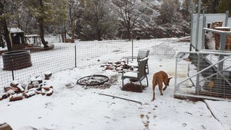 tasmania, snow