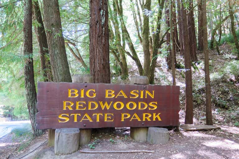 big basin redwoods, state park