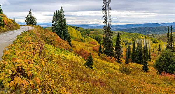 buffalo pass, steamboat, Colorado