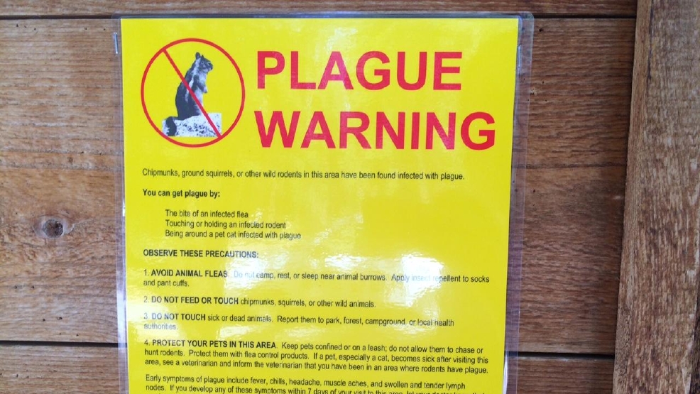plague, 