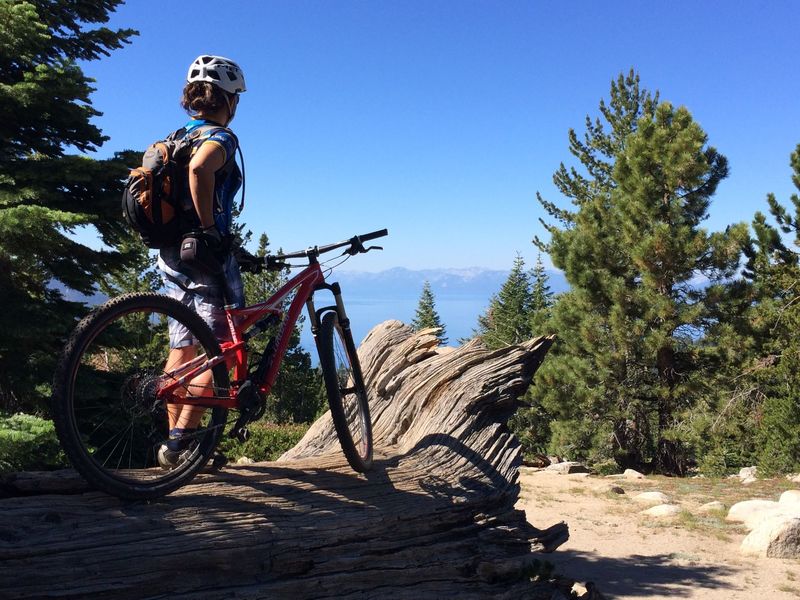 Downhill mountain biking discount tahoe