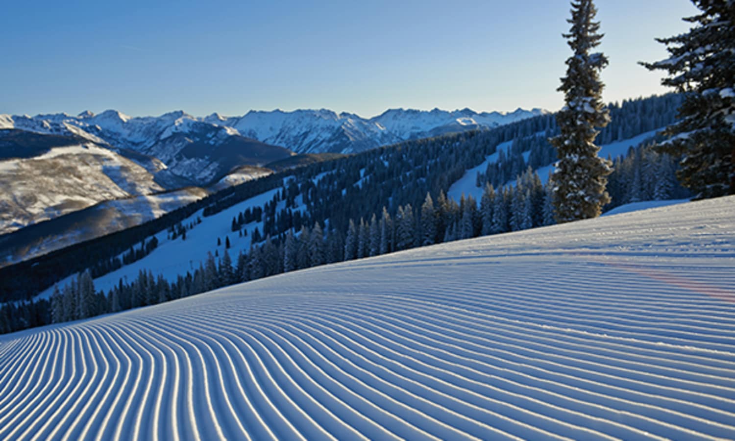 Vail Ski Resort Official Site