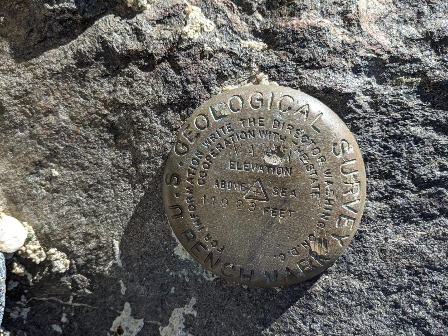 Bench Mark on the top of Buck Mountain