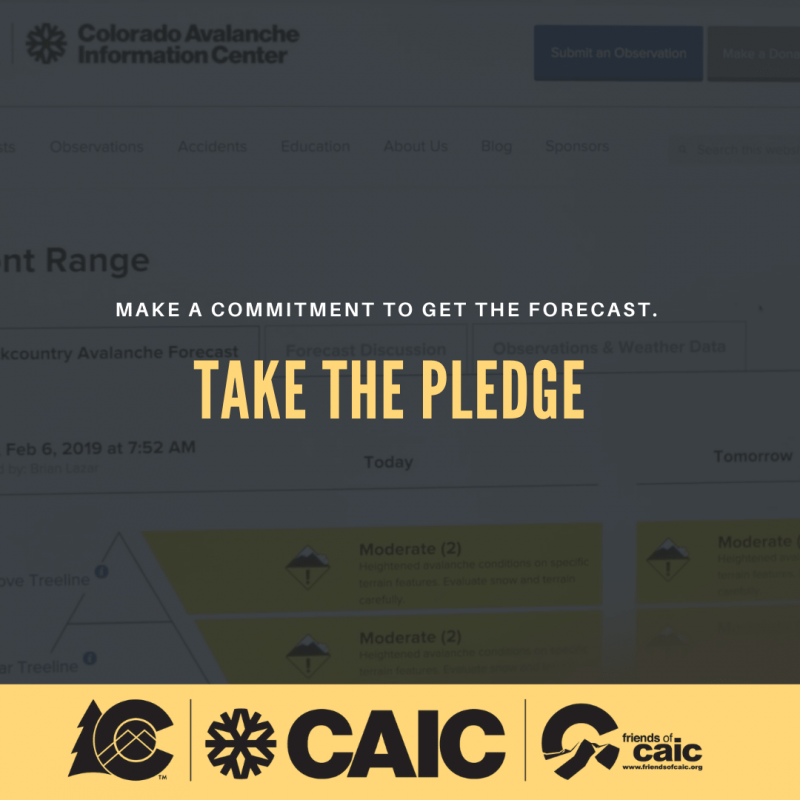 CAIC pledge