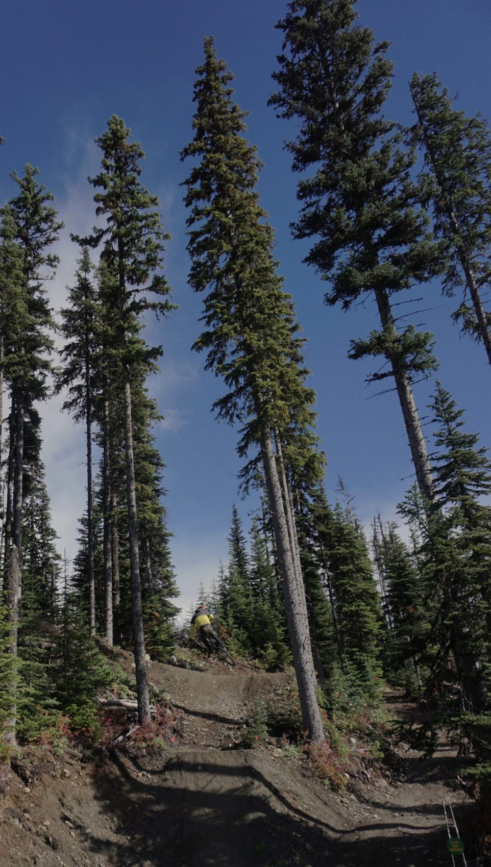 Sun Peaks Bike Park Mountain Biking