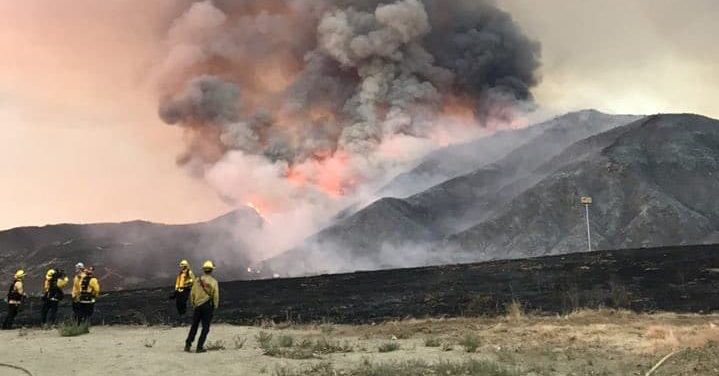 california, wildfire, gender reveal, 