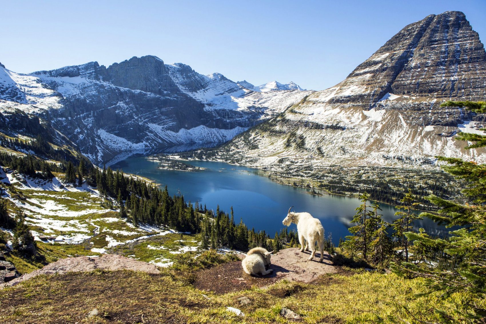 glacier-national-park-mt-losing-ice-fast-snowbrains