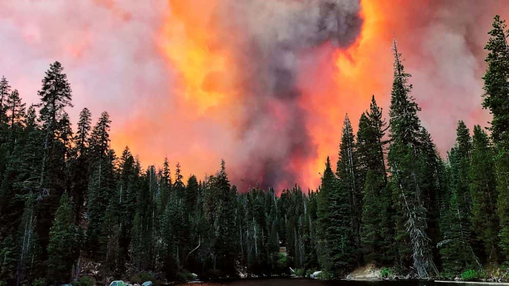 wildfire, california