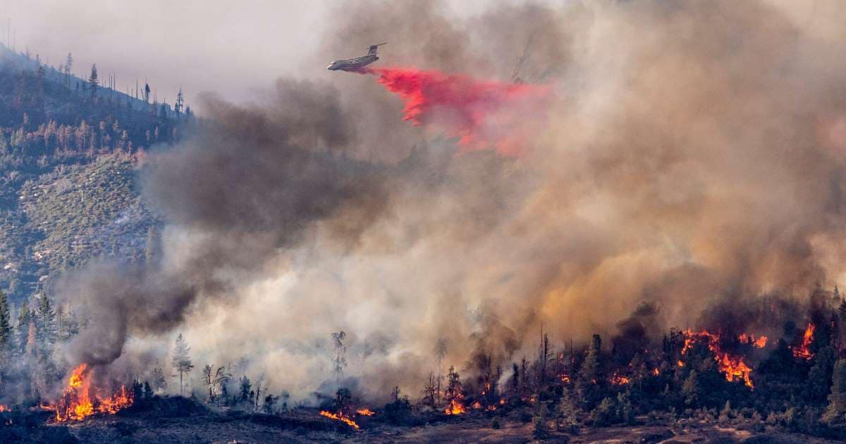 sequoia national park, wildfire, california