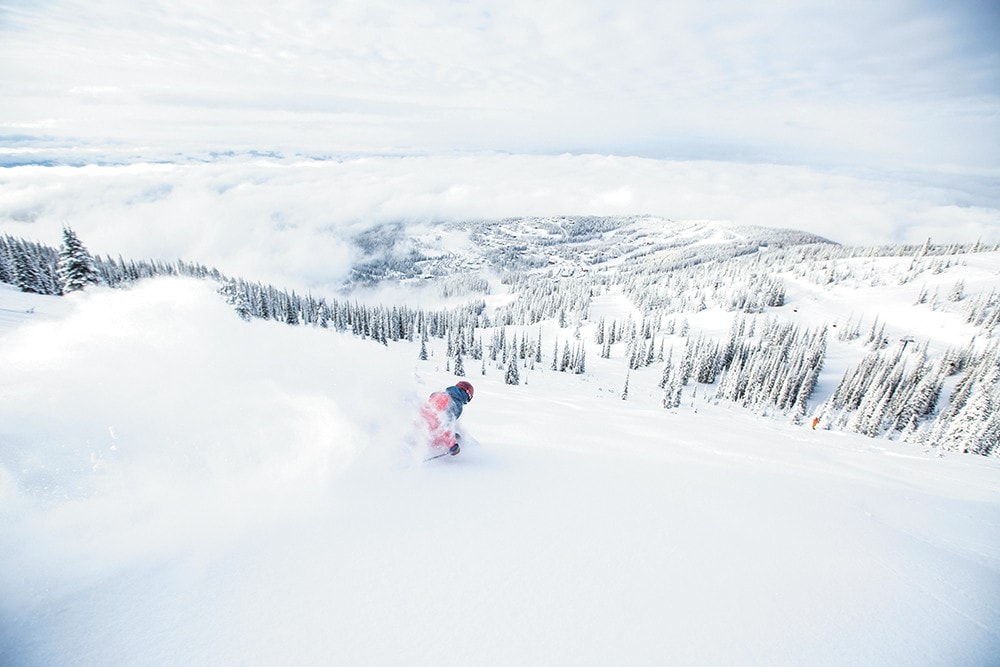 Powder, whitefish