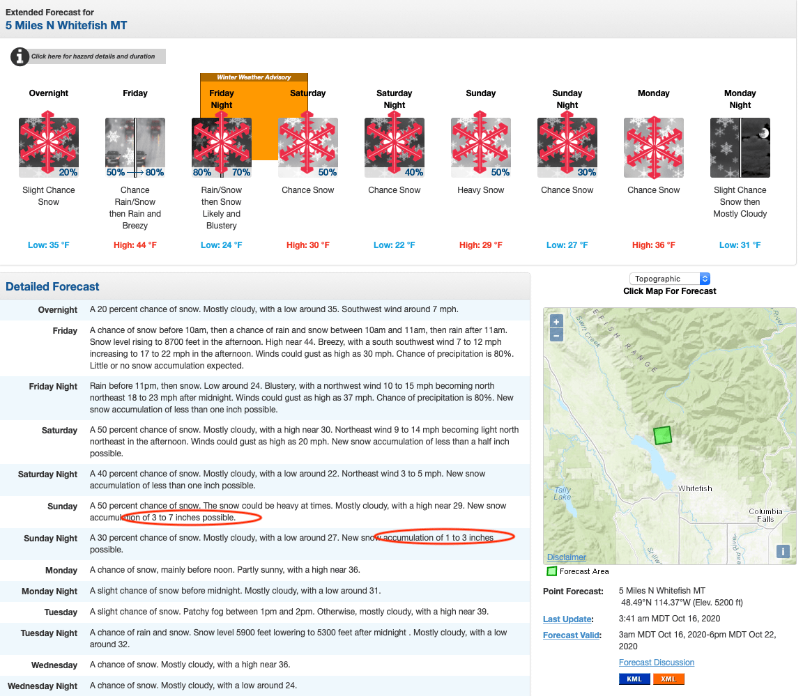 montana, whitefish