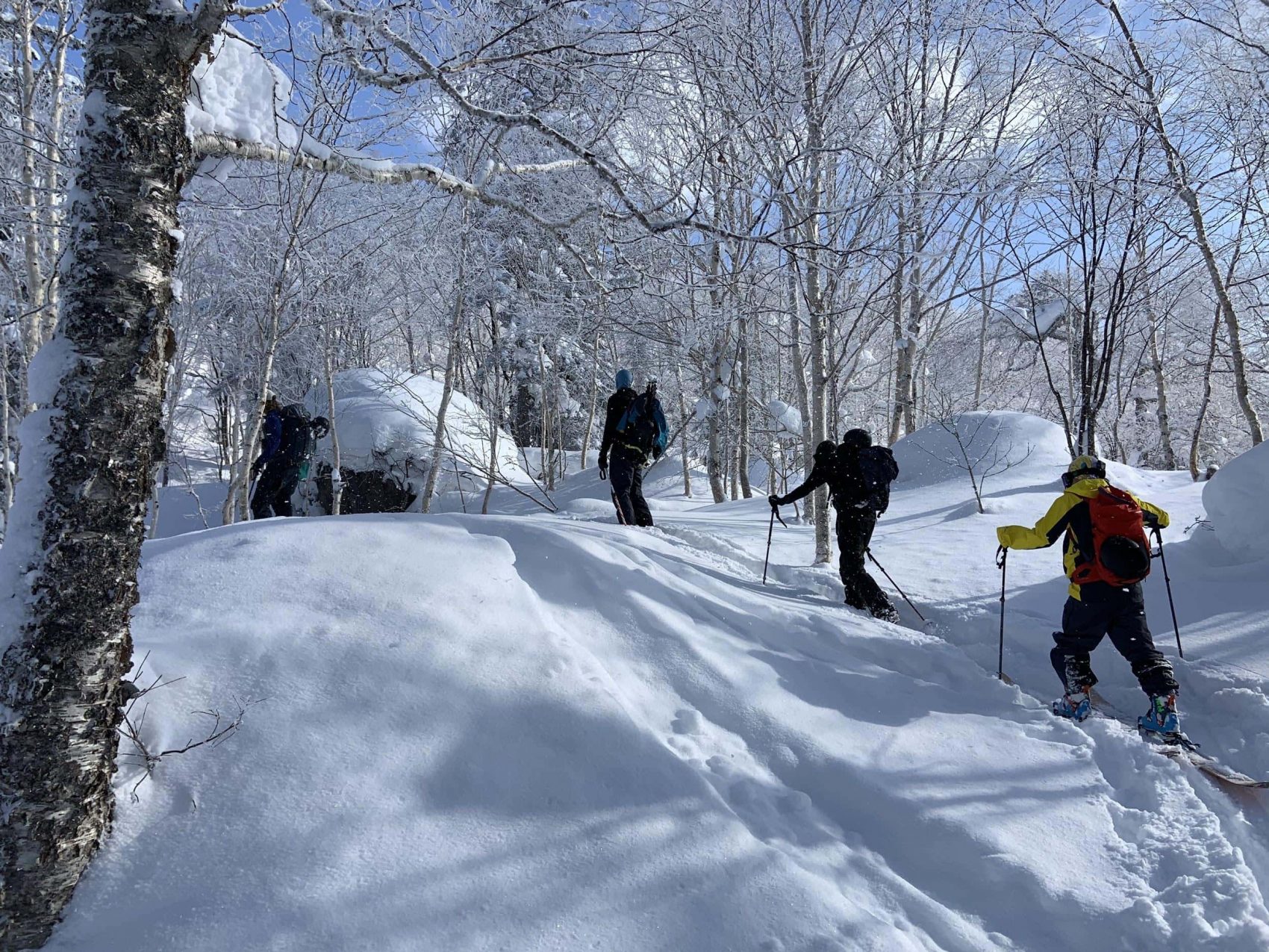 Japan, hokkaido