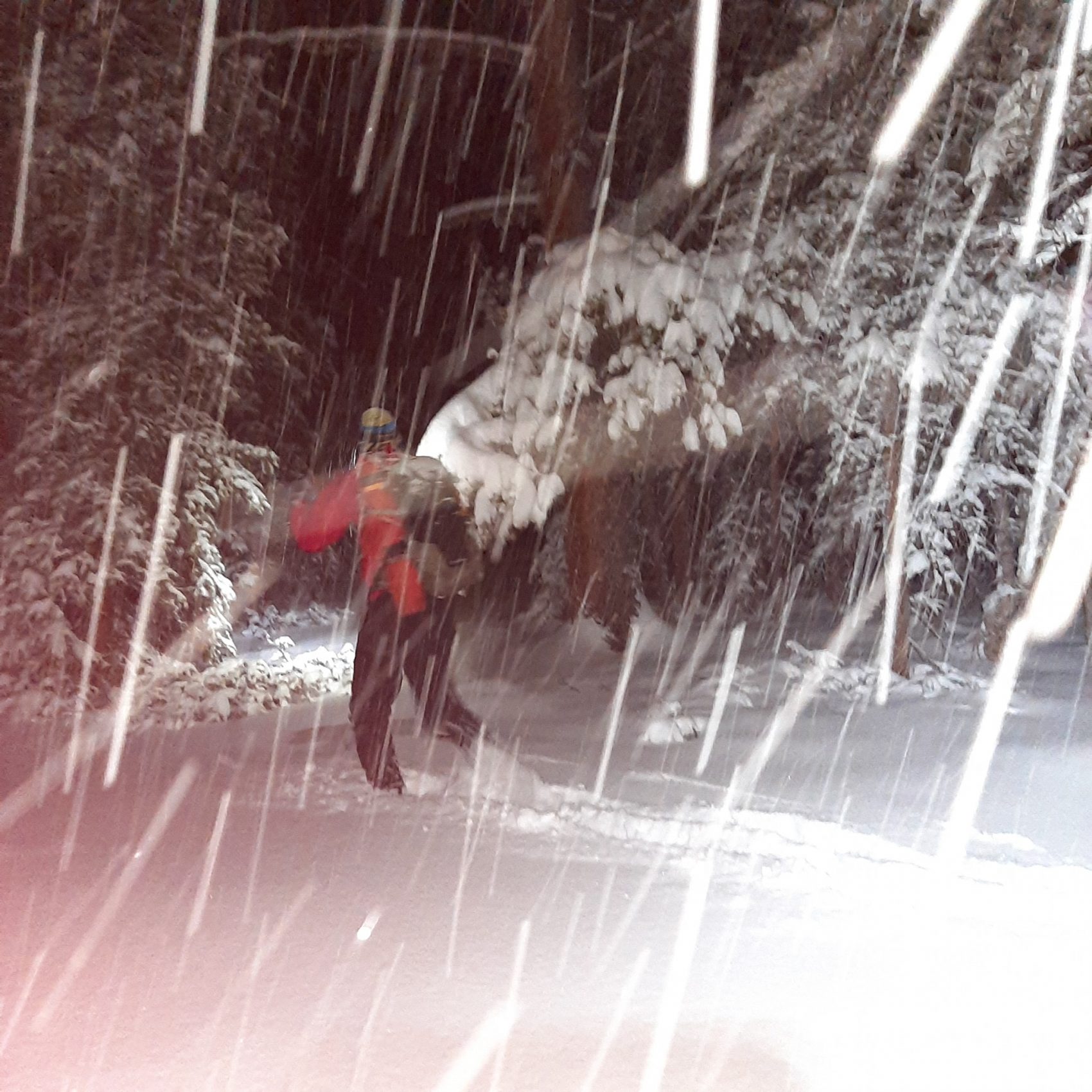 hikers lost, Mount Elbert, colorado, blizzard