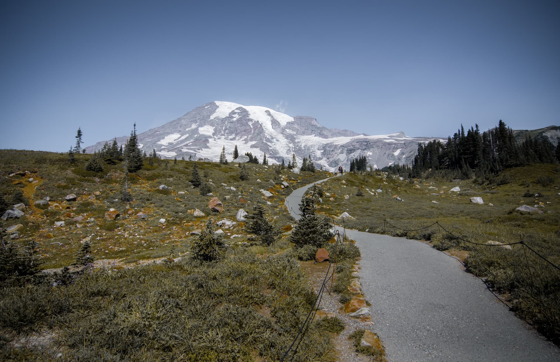 paradise, Washington, mount rainier, snowshoer