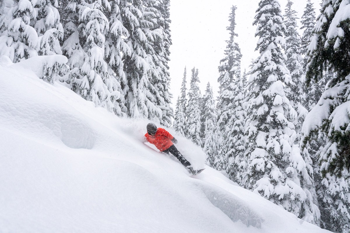 whistler, Snowboarder deep Powder