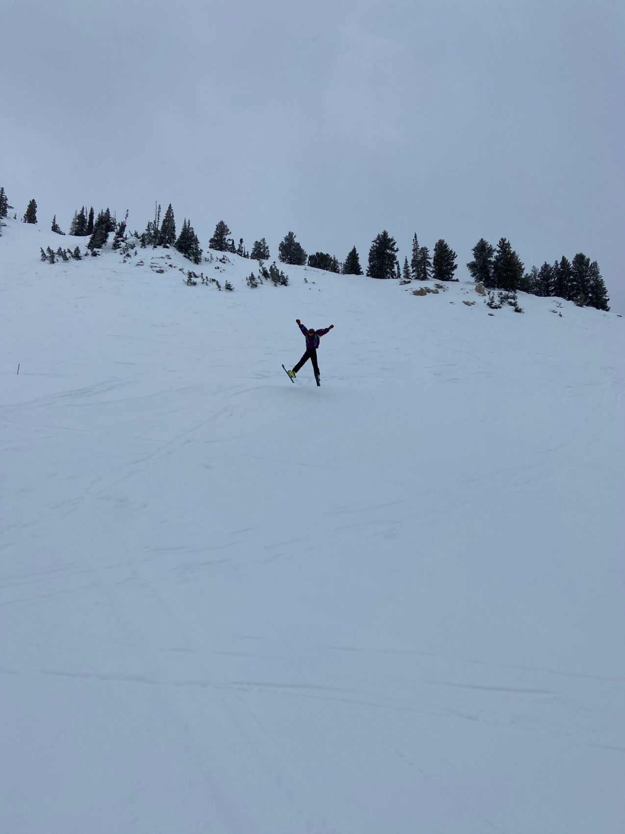 Alta Report