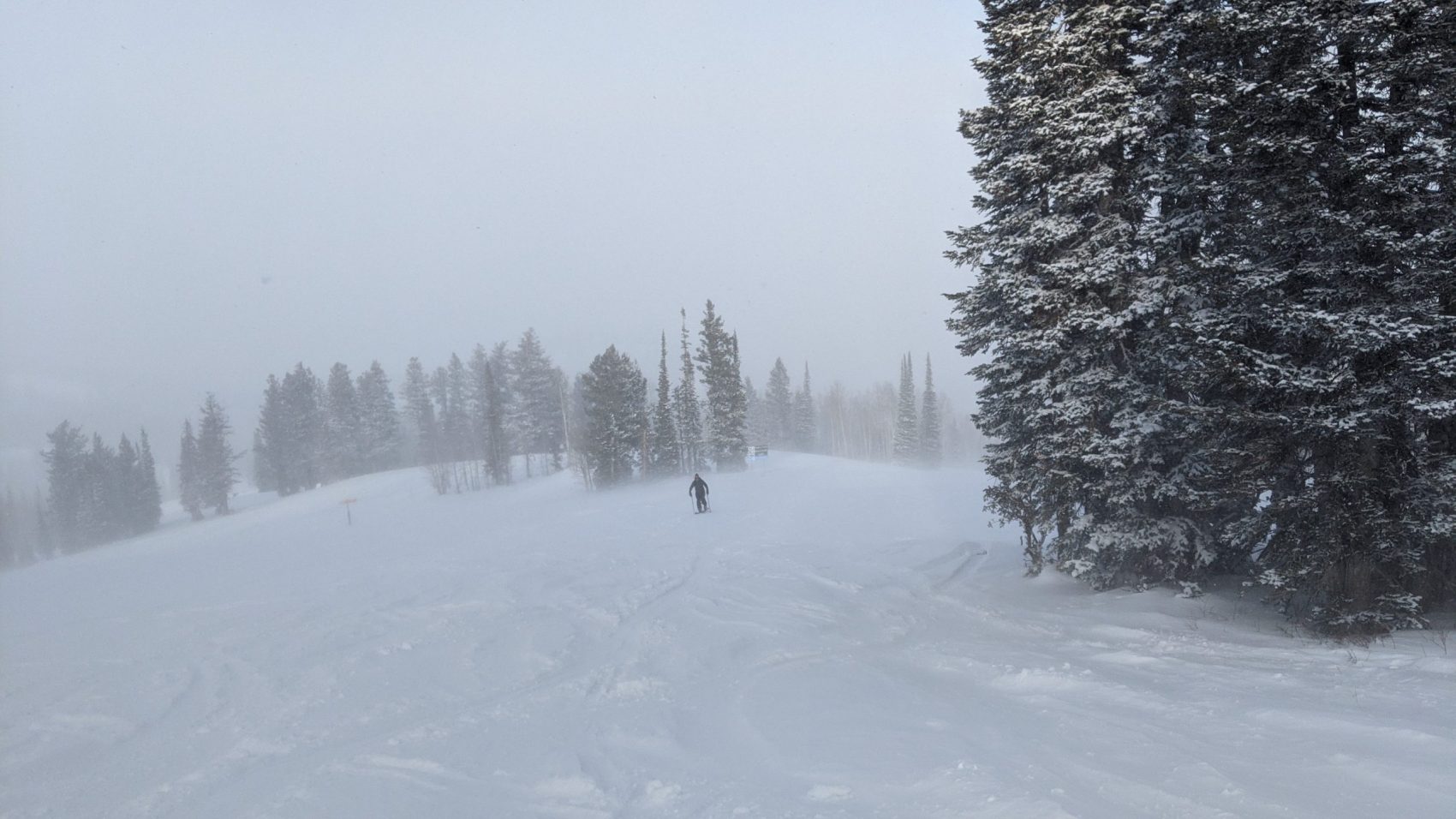 Beaver Mountain, UT Report MiniPowder Day in Paradise SnowBrains