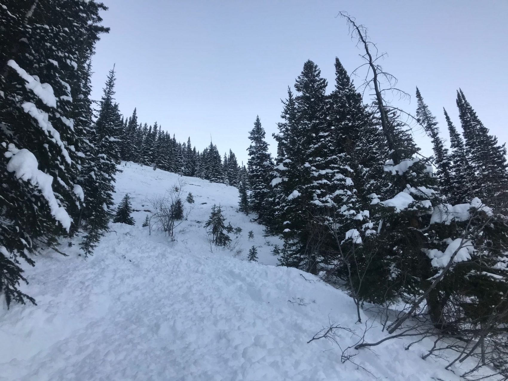 avalanche, colorado