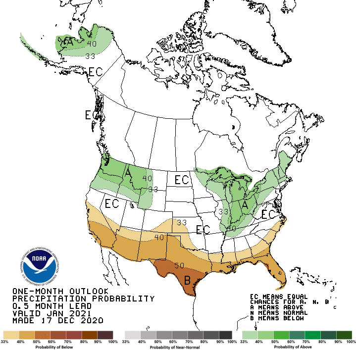 precipitation, January 2021